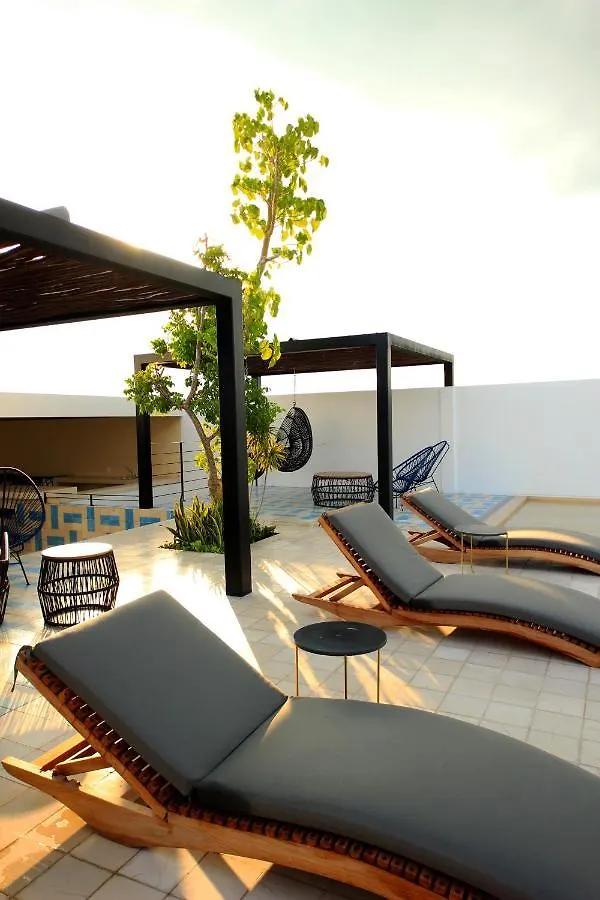 Spacious Studio, Incredible Rooftop With Sea View Playa del Carmen 0*,  Mexico
